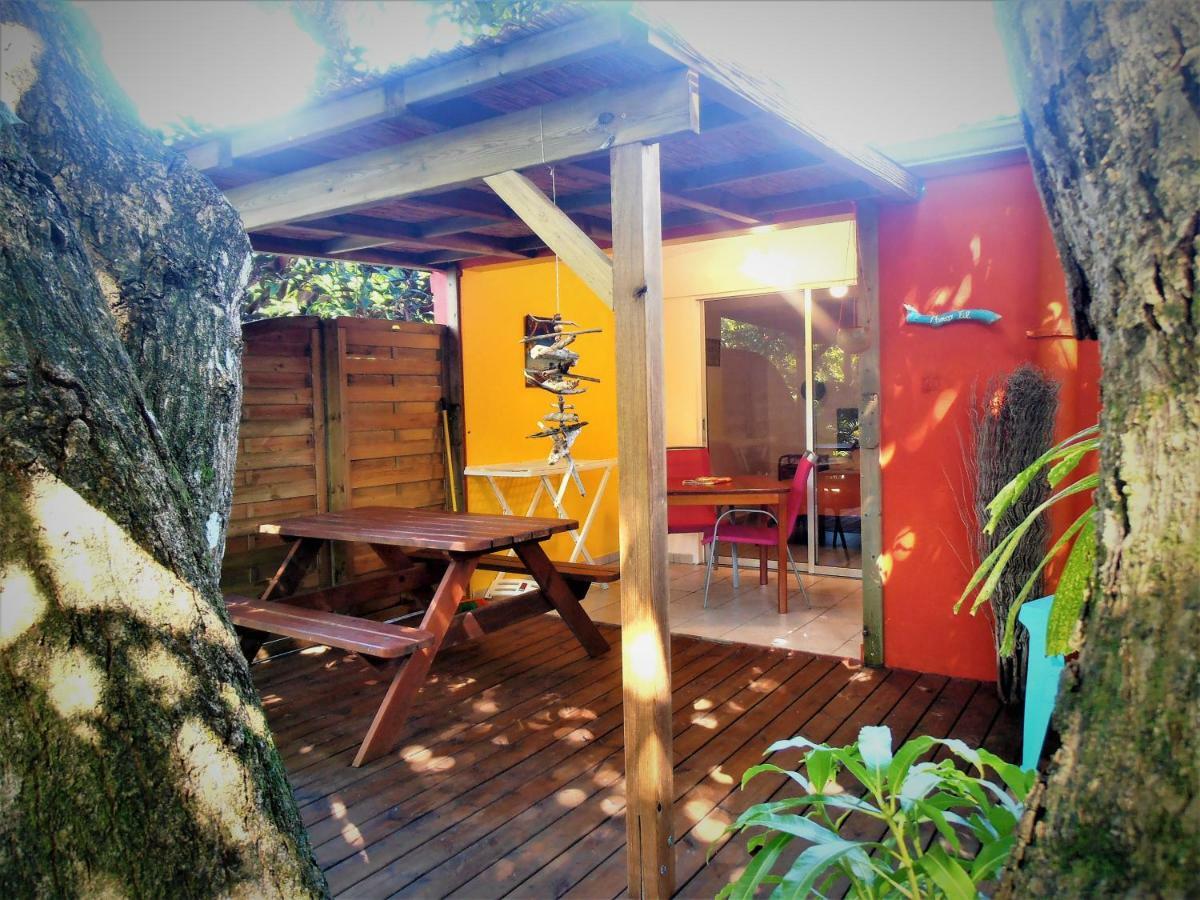 Les Manguiers Villa Deshaies Exteriör bild